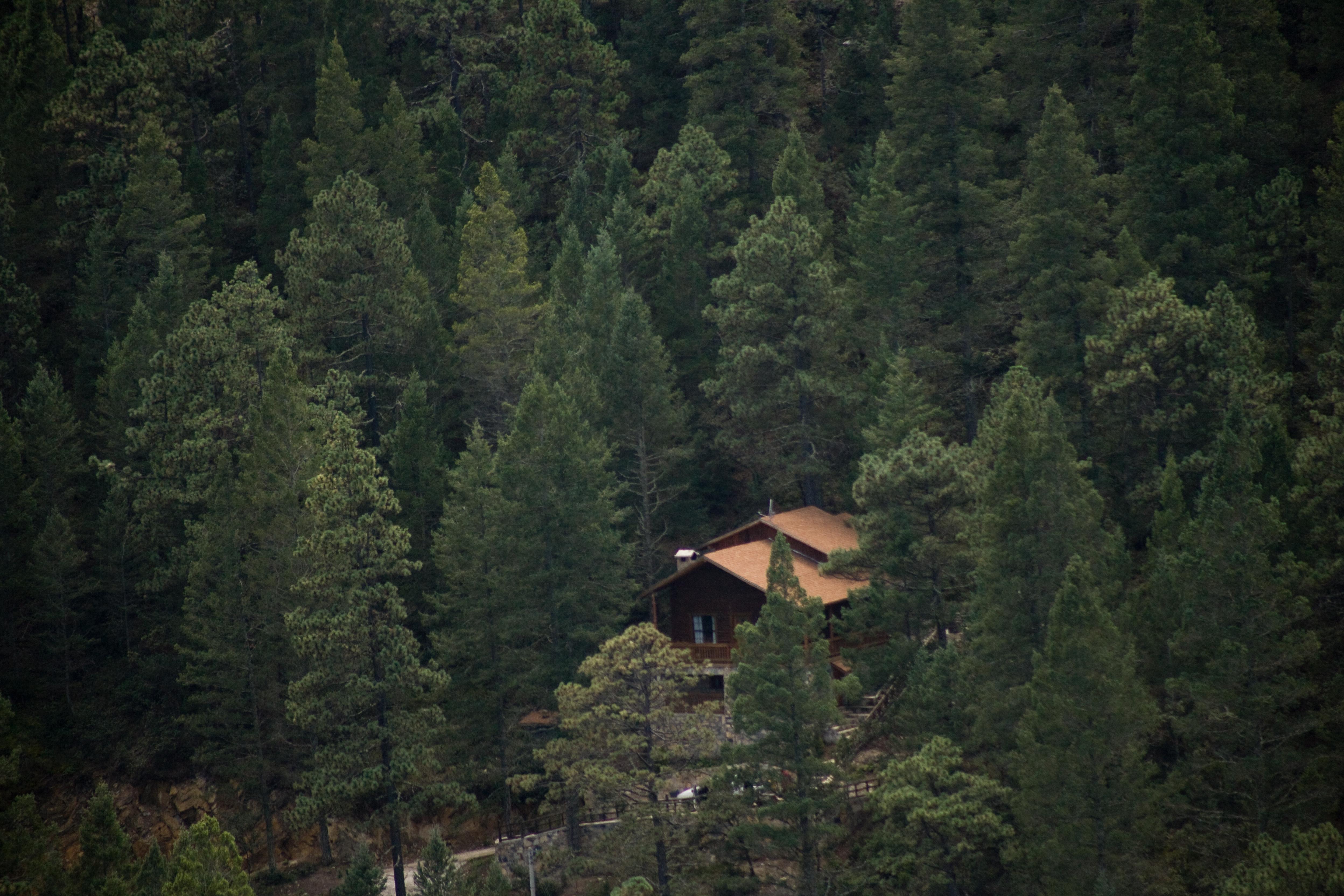 Bosques De Monterreal Ξενοδοχείο San Antonio de las Alazanas Εξωτερικό φωτογραφία