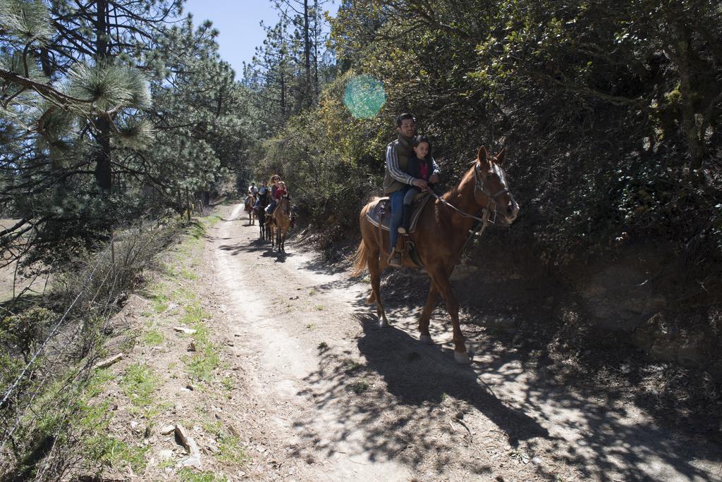 Bosques De Monterreal Ξενοδοχείο San Antonio de las Alazanas Εξωτερικό φωτογραφία